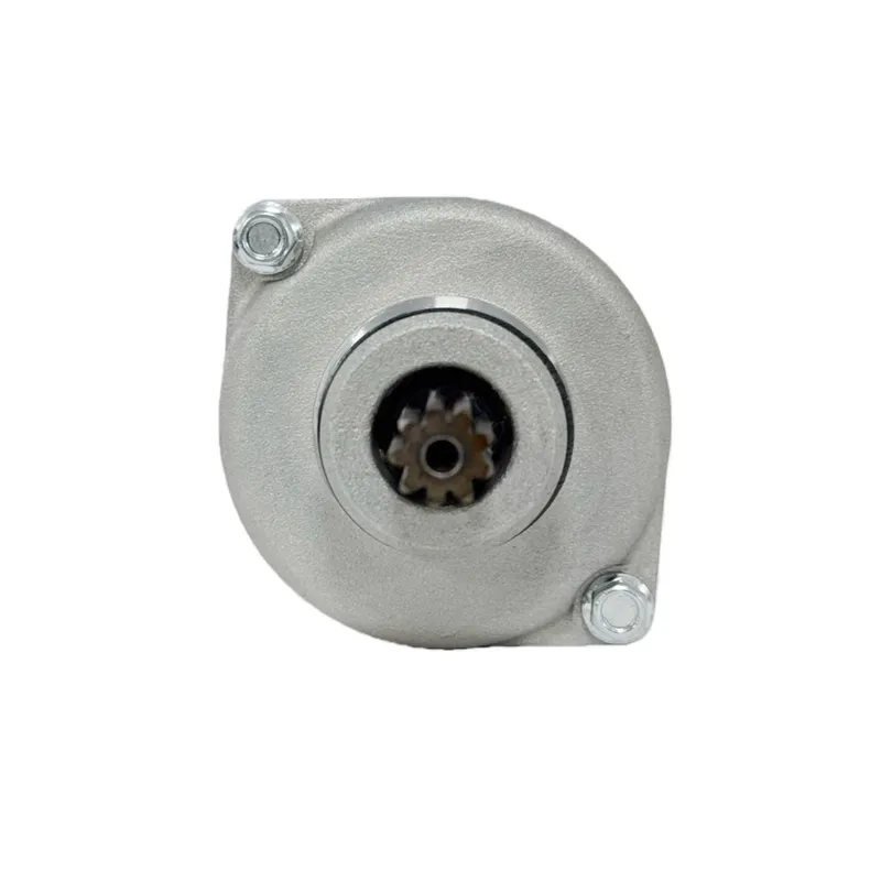 Motorino di avviamento 21163-0 - Motorcycle Starter Motor recensione e prezzo